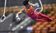 米兰APP下载-室内体操比赛男子项目韩国选手雄霸的简单介绍