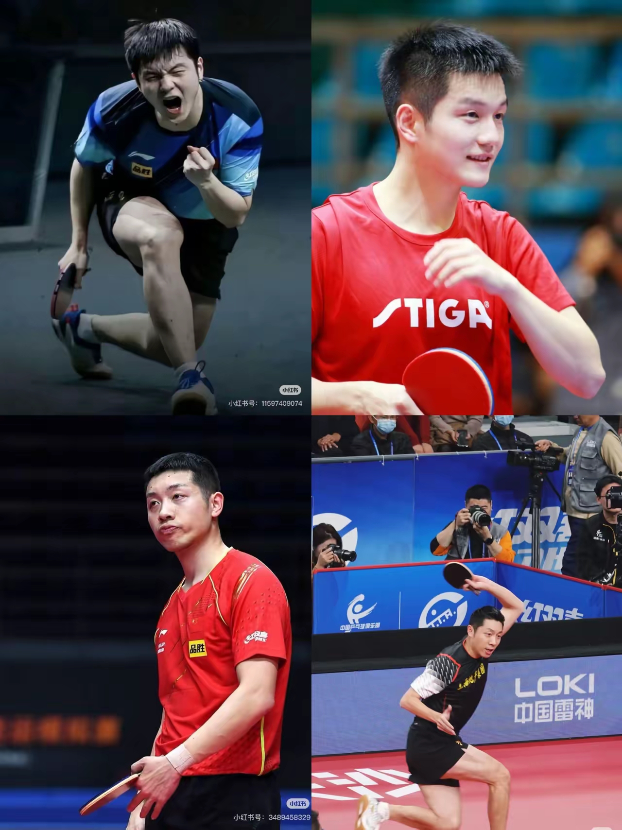 关于韩国乒乓球队逆转日本乒乓球队，樊振东统治全场的信息