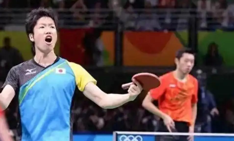 德国队翻盘日本队，许昕关键制胜的简单介绍